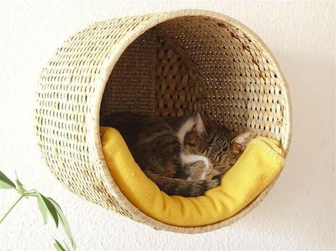 Your cat will love this IKEA hack. Katt Diy, Ikea Basket, Diy Chat, Katt Grejer, Diy Cat Bed, Chat Diy, Kat Diy, Diy Projektit, Ideal Toys