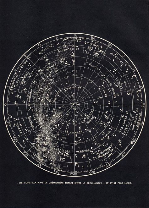 Vintage Astronomy Prints, Constellation Map, Space Facts, Constellation Tattoos, Star Chart, The North Pole, Picture Collage Wall, To Infinity And Beyond, Book Projects