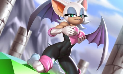 Shadow And Rouge, Adventure Time Girls, Minecraft Anime, Rouge The Bat, Sonic Heroes, Female Cartoon Characters, Sonic Fan Characters, Hedgehog Art, Sonic And Shadow