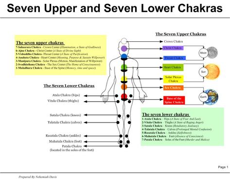 The chakras below Muladhara - Spiritual Forums Pineal Gland Facts, Meaning Of Numbers, Chakra Chart, Lower Chakras, Vishuddha Chakra, Muladhara Chakra, Anahata Chakra, Manipura Chakra, The Chakras