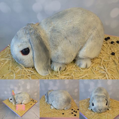 3D rabbit cake with edible straw and poop! Edible Straw, Rabbit Cakes, Ruby Cake, 3d Dort, Bunny Birthday Cake, 3d Rabbit, Realistic Cakes, School Cake, Easter Bunny Cake