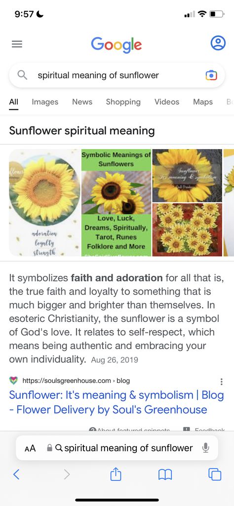 Sunflower Meaning In Love, Sunflower Meaning Spiritual, Sunflower Symbolism, Sunflower Meaning, Meaning Of Sunflower, Sunflower Names, Beautiful Sunflowers, True Faith, Aesthetic Names