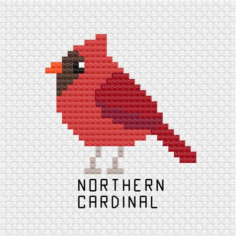 Woodpecker Cross Stitch Pattern, Cardinal Cross Stitch Pattern Free, Cardinal Perler Bead Patterns, Birds Cross Stitch Patterns, Cross Stitch Cardinal, Cardinal Cross Stitch Pattern, Cardinal Cross Stitch, Cross Stitch Birds, Bird Cross Stitch Pattern