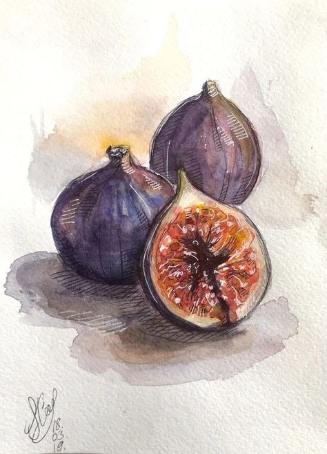 Watercolor Tricks, Fig Art, Fig Drawing, Kitchen Paintings, Watercolour Drawings, Fruit Still Life, Sketch Note, Art Alevel, Fruits Drawing