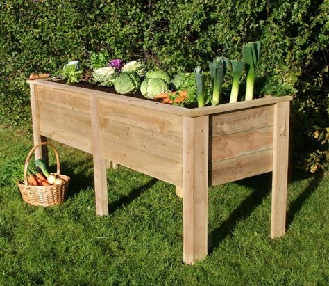 Garden Box Plans, Apartment Patio Gardens, Planter Box Plans, Raised Garden Bed Plans, Elevated Gardening, Vegetable Beds Raised, Raised Planter Boxes, Garden Boxes Raised, Raised Planter Beds