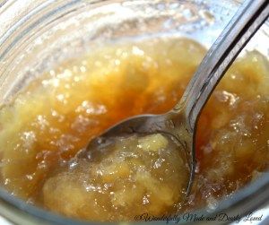 Simply Scrumptious Ginger Marmalade - Wonderfully Made and Dearly Loved Ginger Marmalade Recipe, Ginger Jam Recipe, Ginger Marmalade, Rhubarb Chutney, Thm Fp, Refined Sugar Free Desserts, Keto Dips, Keto Condiments, Ginger Jam