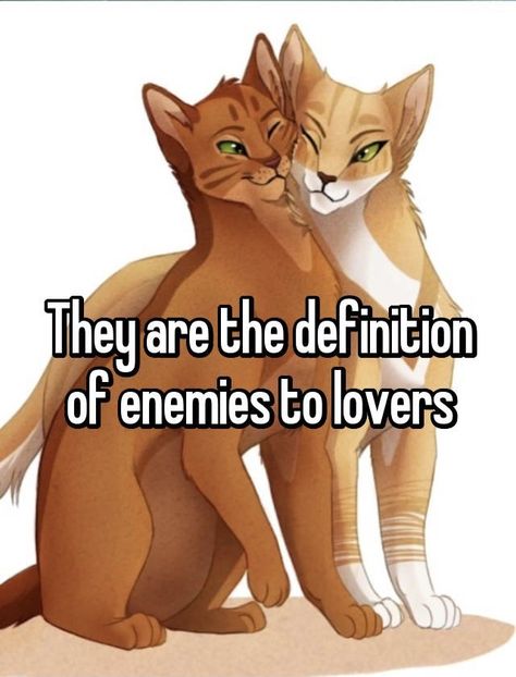 Warrior Cats Funny Comics, Warrior Cats Matching Pfp, Warrior Cat Memes Hilarious, Warrior Cats Ships, Warrior Cats Jayfeather, Warrior Cats Ocs, Warrior Cats Fanart, Warriors Memes, Cat Warriors