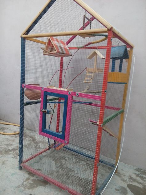 Cage for Parrots Colourful round, square, trainagle, rectangular types wood made cages available on order. Decorated with colourful and handmade beautiful different accessories. Chakri Road Rawalpindi. www.facebook.com/CageForParrots Bird Cage Design, Large Bird Cages, Parrot Cage, Bird Cages, Design Planning, Bird Cage, Parrot, Projects To Try, Road