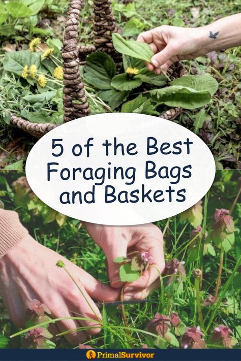 wild edibles being placed into a foraging basket and wild plant being picked by hand Foraging Tools, Diy Foraging Bag, Foraging Basket, Foraging Bag, Herb Tinctures, Herb Diy, Essential Oils Herbs, Wild Edibles, Wild Plants