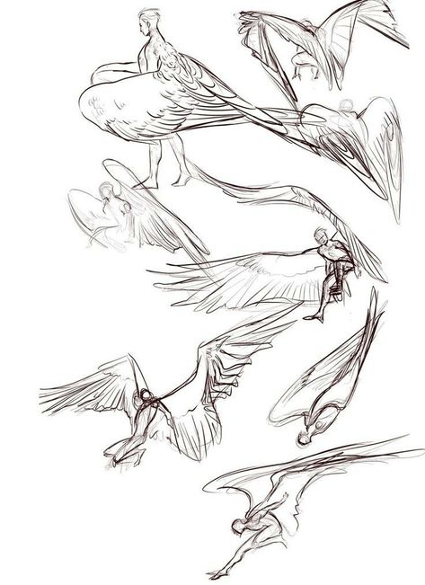 Flying Poses, Winged People, Wings Drawing, Wings Art, Concept Art Drawing, Creature Concept Art, Anatomy Art, 영감을 주는 캐릭터, Art Tutorials Drawing