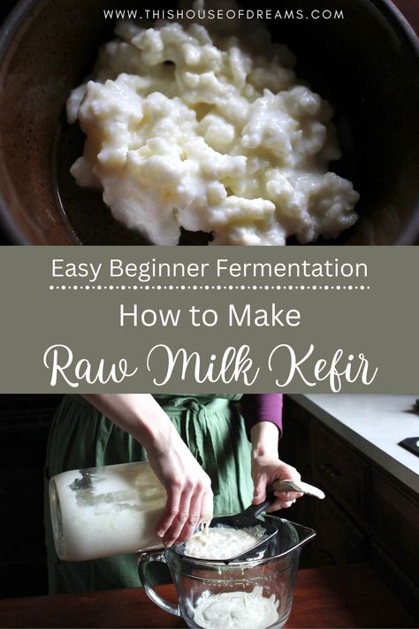 Learn how easy it is to make raw milk kefir from kefir grains in your own kitchen. This simple process can be done in just a few minutes and will provide you with endless milk kefir. Homemade Kefir, Milk Kefir Recipes, Milk Kefir Grains, Fermented Milk, Kefir Recipes, Kefir Grains, Nourishing Traditions, Healthy Probiotics, Milk Kefir