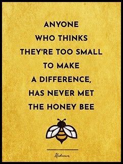 Quotes About Bees And Flowers, Bee Sayings Quotes, Bee Quotes Wisdom, Bee Sayings Cute, Bee Quotes Inspiration, Quotes About Bees, Bee Hive Art, Bee Sayings, Quotes Cool