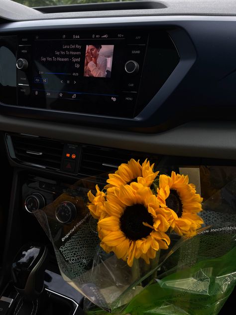 Sunflower, lana del ray, aesthetic, car, car aesthetic Lana Del Ray Aesthetic, Ray Aesthetic, Fav Flower, Aesthetic Car, Sunflower Wallpaper, Car Aesthetic, Favorite Flower, Lana Del Ray, In Car