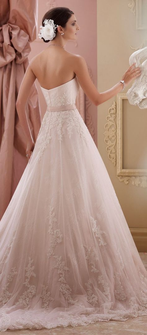 David Tutera for Mon Cheri Spring 2015 Bridal Collection - Belle The Magazine Mon Cheri Bridal, David Tutera, Wedding Dresses Cinderella, 2015 Wedding Dresses, Sophisticated Bride, Mon Cheri, New Wedding Dresses, Wedding Dresses Plus Size, Tulle Wedding