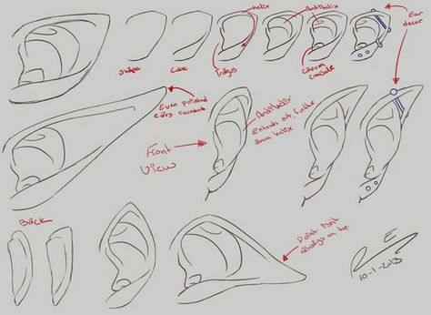 Downturned Elf Ears, Ear Drawings, Ear References, Horns Reference, Drawing Elf, Drawing Ears, Creature Anatomy, Sketching People, Character Anatomy