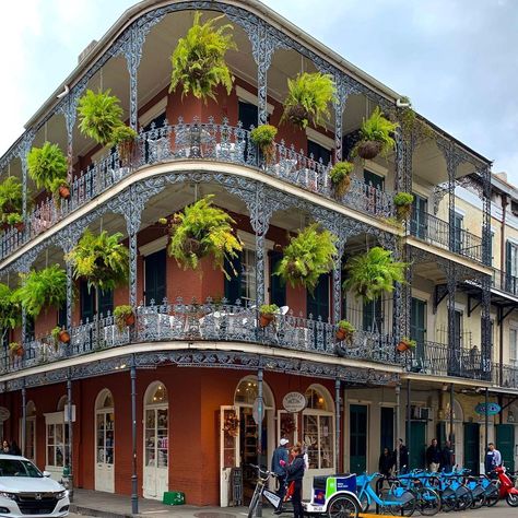 architecture travel plants New Orleans New Orleans Bayou, French Quarter Decor, French Quarter Hotels, New Orleans Bourbon Street, Vegas Hotel Rooms, Adventure Friends, New Orleans Travel Guide, New Orleans Architecture, Thailand Travel Destinations