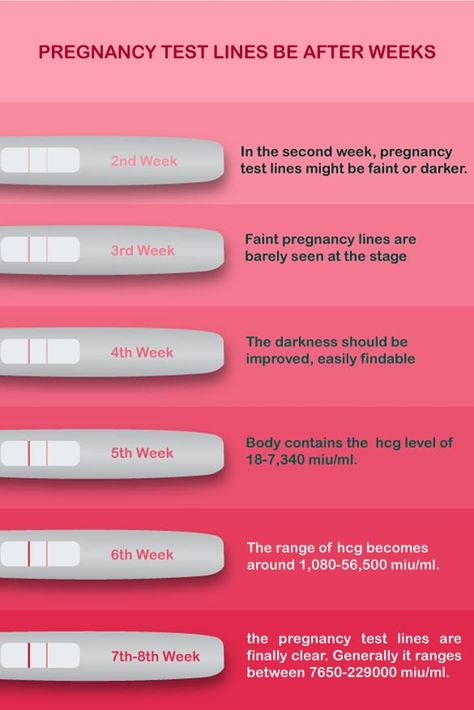 Should pregnancy test lines get darker week by week