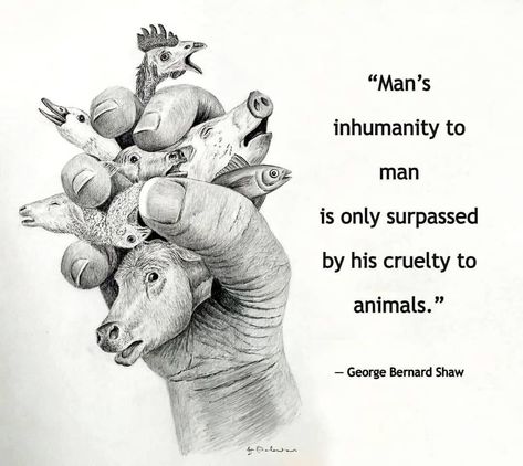 Animal Cruelty Art, George Bernard Shaw Quotes, Vegan Memes, Animal Activism, Vegan Quotes, Why Vegan, Animal Liberation, Buddhist Quotes, George Bernard Shaw