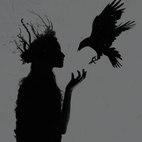 동화 삽화, A Crow, Celtic Mythology, Photo Grid, Arte Obscura, Witch Aesthetic, Fantasy Aesthetic, Arte Fantasy, Dark Photography