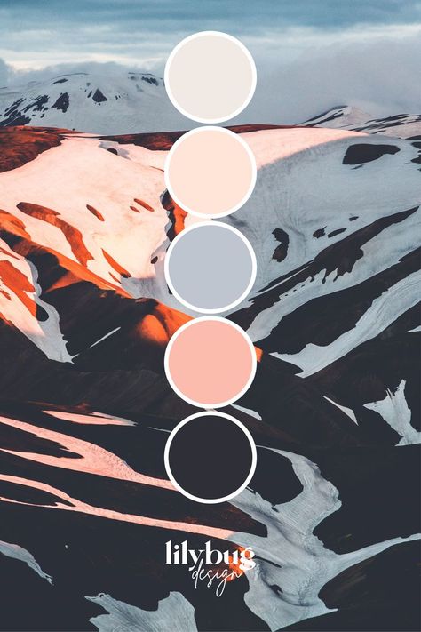 Colour Platette Aesthetic, Colour Platette, Color Palette From Image, Ideas Principales, Colour Wall, Sunset Mountains, Calligraphy Brush, Beauty Words, Hex Color Palette