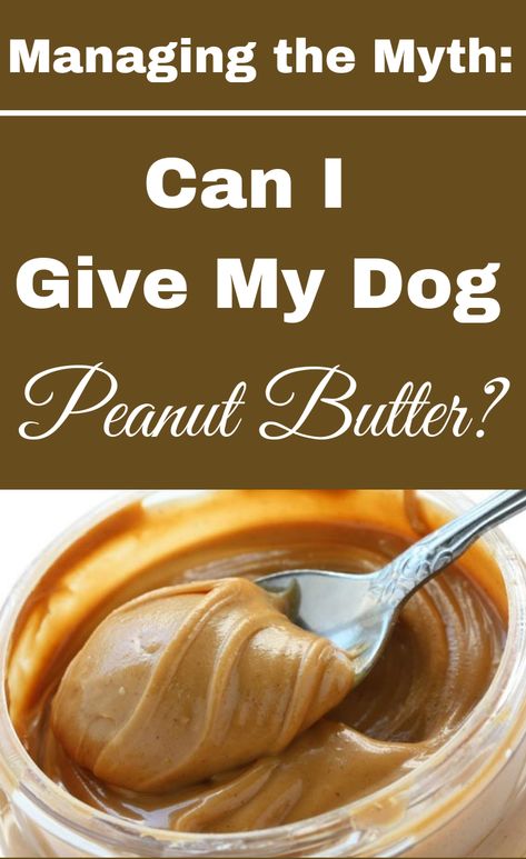 What Can Dogs Eat, Dog Peanut Butter, Skippy Peanut Butter, Peanut Butter For Dogs, Peanut Butter Snacks, Make Dog Food, Homemade Foods, Peanut Allergy, Things To Keep In Mind