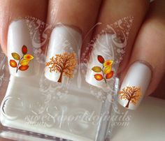 Autumn Tree Leaves Thanksgiving Nail Art Fall Water Decals Transfers Wraps Aztec Nail Art, Aztec Nails, Nail Art Halloween, Xmas Nail Art, Nail Water Decals, Thanksgiving Nail Art, Thanksgiving Nail, Pumpkin Nails, Fall Nail Art Designs