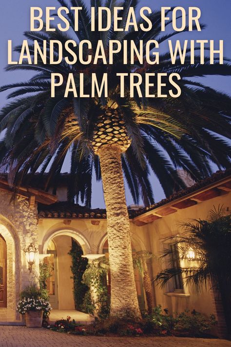 Landscaping With Palm Trees, Palm Tree Landscaping, Palm Trees Landscaping, Landscape Borders, Arizona Landscape, Tropical Oasis, Landscape Ideas, Flowering Trees, Mulch