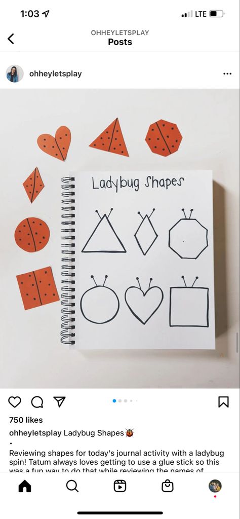 Pre Preschool Lessons, Learning Preschool, Activity Journal Ideas, Hands On Alphabet Activities Preschool, Preschool Notebook, Toddler Activity Book Ideas, Learning Journal Activities, Homeschool 2 Year, Journal Activities For Preschool