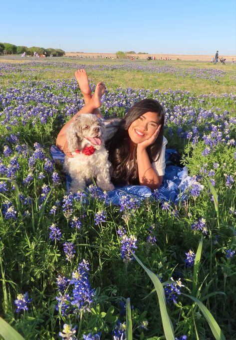 Bluebonnet Picture Poses, Bluebonnet Senior Pictures, Bluebonnet Photoshoot What To Wear, Blue Bonnet Photoshoot, Bonnet Pictures, Bluebonnet Photoshoot, Bluebonnet Photos, Bluebonnet Pictures, Senior Year Pictures