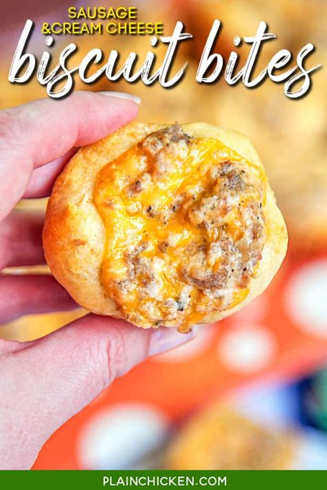 Dinner Biscuits, Cheese Biscuits Recipe, Biscuit Recipes Dinner, Sausage And Cream Cheese, Dinner Biscuit, Cream Cheese Biscuits, Biscuit Bites, Sausage Cream Cheese, Best Biscuit Recipe