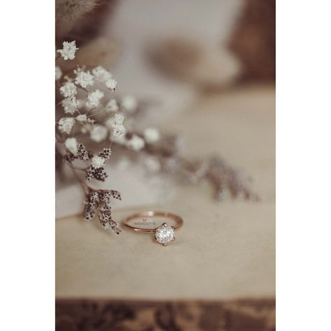 Wedding Accessories Photography, Round Cut Solitaire Engagement Ring, Rings Solitaire, Anniversary Surprise, Wedding Rings Photos, Gold Anniversary Rings, Round Solitaire Engagement Ring, Bling Wedding, Round Engagement Rings