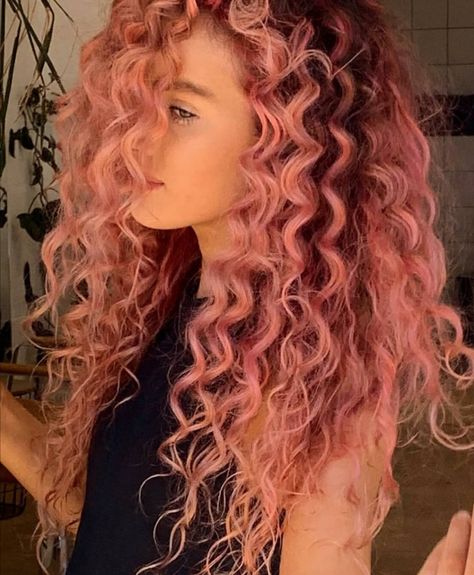 Haircolor Curly Hair Colour, Long Pink Curly Hair, Fun Curly Hair Color, Light Pink Curly Hair, Cute Hair Dye Ideas For Curly Hair, Dyed Curly Hair Ideas Colour, Curly Colored Hair, Hair Chestnut Brown, Brown Hair Curly