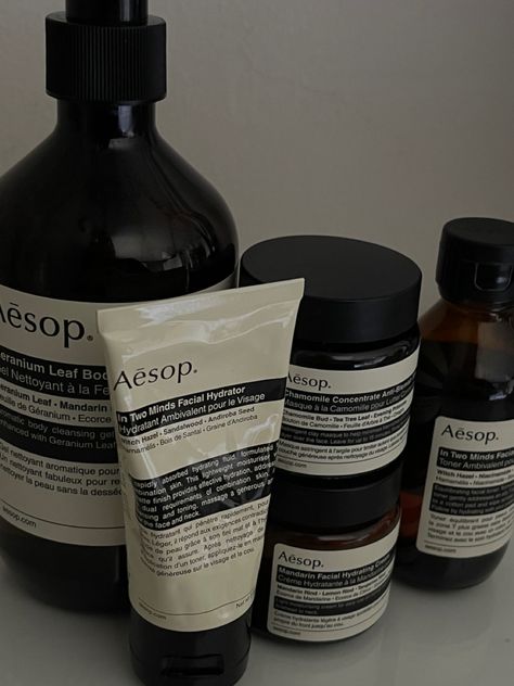 Aesop Skincare, Branded Pins, Feminine Mystique, Get My Life Together, Beauty Must Haves, Aesthetic Painting, Beauty Skin Care Routine, Makeup Routine, Skincare Products