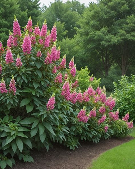 11 Best Shrubs For Minnesota Minnesota Flowers, Shrubs For Shade, Spirea Bush, Dogwood Shrub, Minnesota Garden, Winterberry Holly, Minnesota Landscaping, Shade Shrubs, Orange Plant