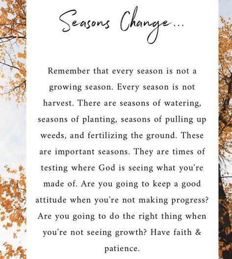 Seasons Change ...  Have faith & patience. Changing Seasons Of Life Quotes, Season In Life Quotes, Just A Season Quote Life, Seasons In Life Quotes Faith, Quote About Seasons Of Life, Fall Back Time Change Quotes, Seasons Of Change Scripture, Entering A New Season Quotes, Seasons Of Life Quotes Word Of Wisdom