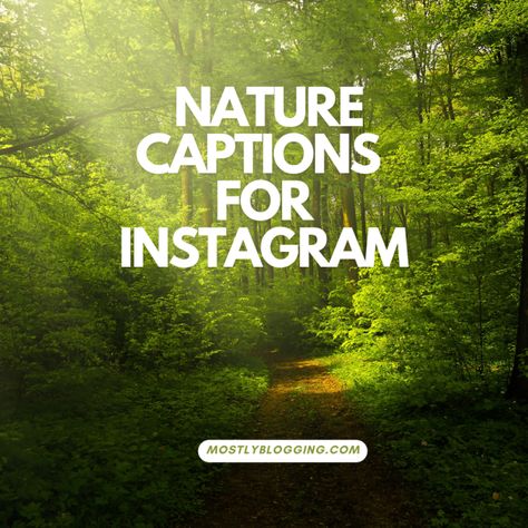 Best Nature Captions For Instagram, Nature Selfie Captions Instagram, Instagram Captions For Nature Posts, Instagram Caption For Nature View, Nature Picture Captions, Caption For Instagram Nature Post, Nature Post Captions, Captions For Instagram Nature Pics, Nature Therapy Captions