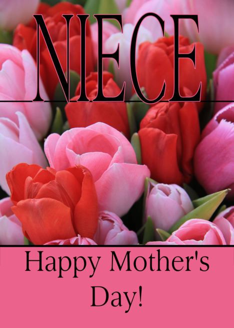 Niece Mixed pink tulips Happy Mother&rsquo;s Day card Mothers Day Meme, Happy Mothers Day Daughter, Mothers Day Wishes Images, Mothers Day Bible Verse, Mothers Day Wishes, Mothers Day Songs, Happy Mom Day, Happy Mothers Day Images, Happy Mothers Day Wishes