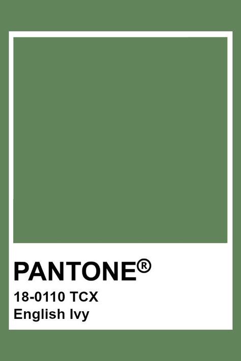 Forest Green Color Swatch, Forest Green Swatch, Color Swatches Green, Green Pantone Shades, Pantone Tcx Green, Green Pantone Colors, Green Colour Pantone, Type Of Green Color, Green Pantone Palette