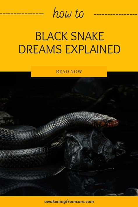 Ever woken up from a dream about a black snake and wondered what it meant? Dreaming about black snakes can be a reflection of hidden fears, inner struggles, or pending transformations in your life. These dreams often signal that it's time to face personal challenges. Dive into the deep symbolism behind these exhilarating dreams and discover the messages your subconscious might be sending Snake Symbolism, Personal Challenges, Inner Conflict, Embracing Change, Dream Symbols, Dream Meanings, Trust Your Instincts, Hidden Messages, Dream Interpretation