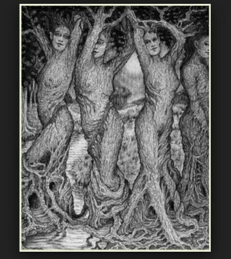 Dryads Tree Tattoo Men, Oak Tree Tattoo, Tree Spirits, Wood Nymphs, Tree People, Tree Spirit, Ash Tree, Tree Woman, 2nd Year