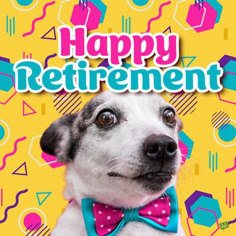 80 Funny Retirement One-Liners for Cards to Send Them Off Retirement Quotes Funny Hilarious, Funny Retirement Wishes, Happy Retirement Wishes, Favorite Coworker, Happy Retirement Cards, Retirement Messages, Retirement Quotes Funny, Congratulations On Your Retirement, Retirement Wishes