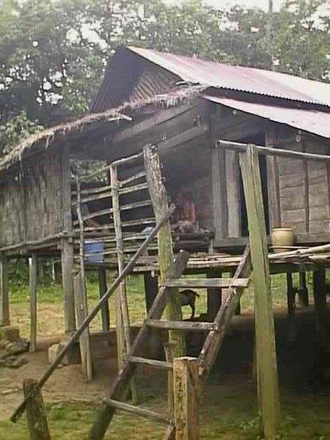 Traditional Malay Kampong  House, Kupang, Kedah Malay Traditional House, Kampong House, Kampung House, Malay House, Malay Traditional, Traditional Houses, Environment Concept Art, Traditional House, School Stuff