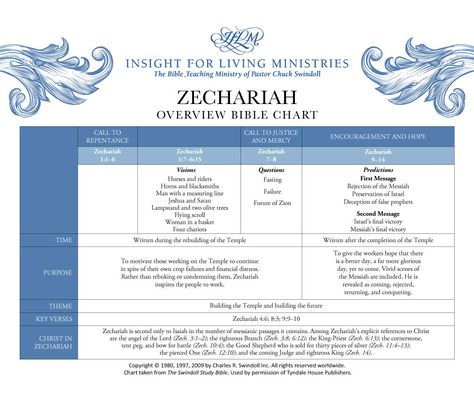 Book of Zechariah Overview - Insight for Living Ministries Book Of Isaiah, Hebrew Text, Bible Readings, Bible Study Help, Divine Guidance, False Prophets, Bible Lessons For Kids, Study Help, Bible Study Notes