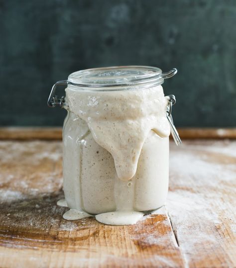 Beginner Sourdough Starter Recipe- All you need are two simple ingredients! | theclvercarrot.com #sourdoughstarter #sourdoughstartereasy #sourdoughstarterrecipe #sourdough The Clever Carrot, Clever Carrot, Gluten Free Sourdough, Sourdough Starter Recipe, Wild Yeast, Sourdough Baking, Sourdough Bread Recipe, Roasting Marshmallows, Starters Recipes