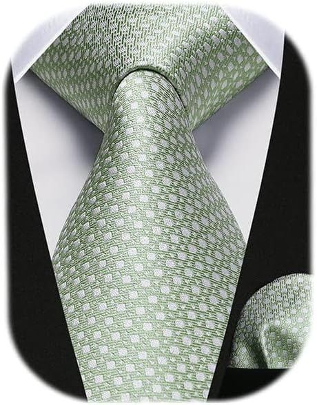 Amazon.com: HISDERN Ties for Men Wedding Men Ties Sage Green Plaid Tie and Pocket Square Set Silk Mint Green Neckties Handkerchief Formal Business Necktie Party : Clothing, Shoes & Jewelry Sage Green Tie, Handkerchief Wedding, Freshman Homecoming, Men Ties, Gold Tie, Mens Ties, Ties For Men, Wedding Handkerchief, Plaid Tie