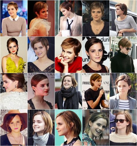 Emma Watson thru the awkward stages of growing out her Pixie. Since she started growing it out in January 2011 till she got it into a bob in August 2012. Emma Watson Growing Out Pixie, Awkward Pixie Grow Out, Stages Of Growing Out A Buzzcut, Growing A Pixie Into A Bob Stages, Pixie Cut Grow Out Stages, Growing Out A Pixie Stages Of, Pixie Grow Out Stages, Emma Watson Bob, Buzzcut Grow Out Stages