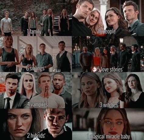 The Originals Mikaelson Family, The Originals Wallpaper, Originals Funny, The Mikaelson Family, Icon People, The Originals Tv Show, Legacy Quotes, Mikaelson Family, Fandom Quotes