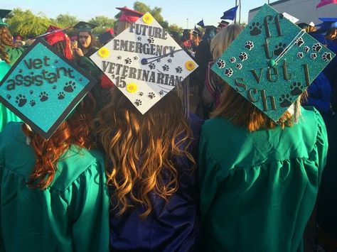 Vet tech  grads. Decorated Grad caps Animal Science Major, Veterinarian Graduation, Cap Inspiration, Diy Grad Cap, Candy Lei, Graduation Cap Decoration Diy, High School Graduation Cap, Graduation Party High, Veterinary Assistant