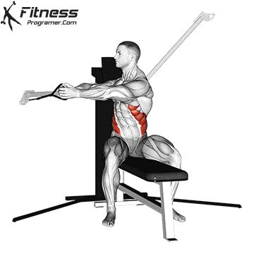 Seated Cable Twist Seated Cable Back Exercises, Cable Oblique Twist, Kneeling Cable Crunch, Cable Crunches Standing, Cable Curls Biceps, Cable Abs, Personalized Workout Plan, Cable Workout, Bodybuilding Workout Plan