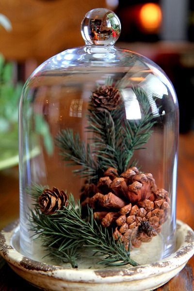 Cloche Simple winter cloche Holiday Decor Hacks, Navidad Natural, Cloche Decor, Glass Cloche, Navidad Diy, Natural Christmas, The Bell Jar, Noel Christmas, Country Christmas